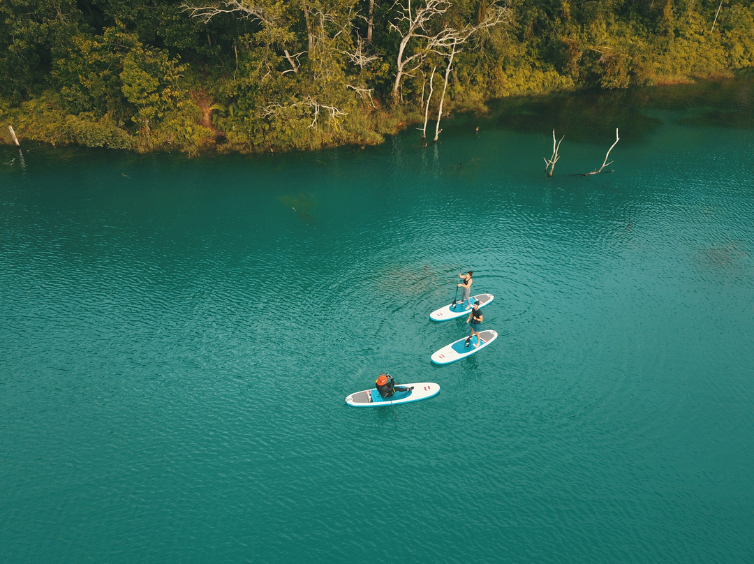 SUP Surfari景点图片