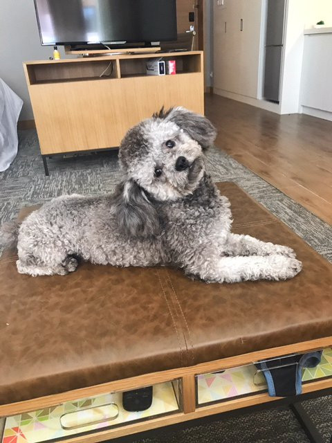 崇礼源宿酒店主图