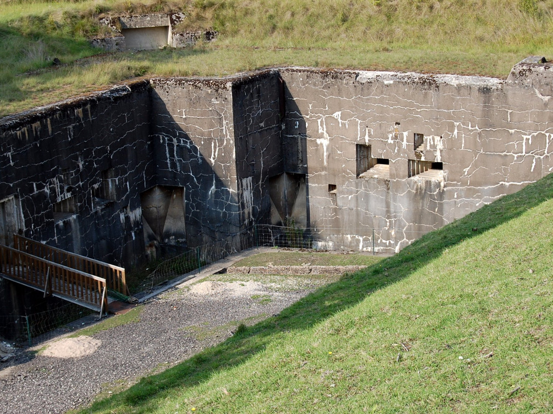 Fort du Vieux Canton-Villey-Saint-Etienne必去景点