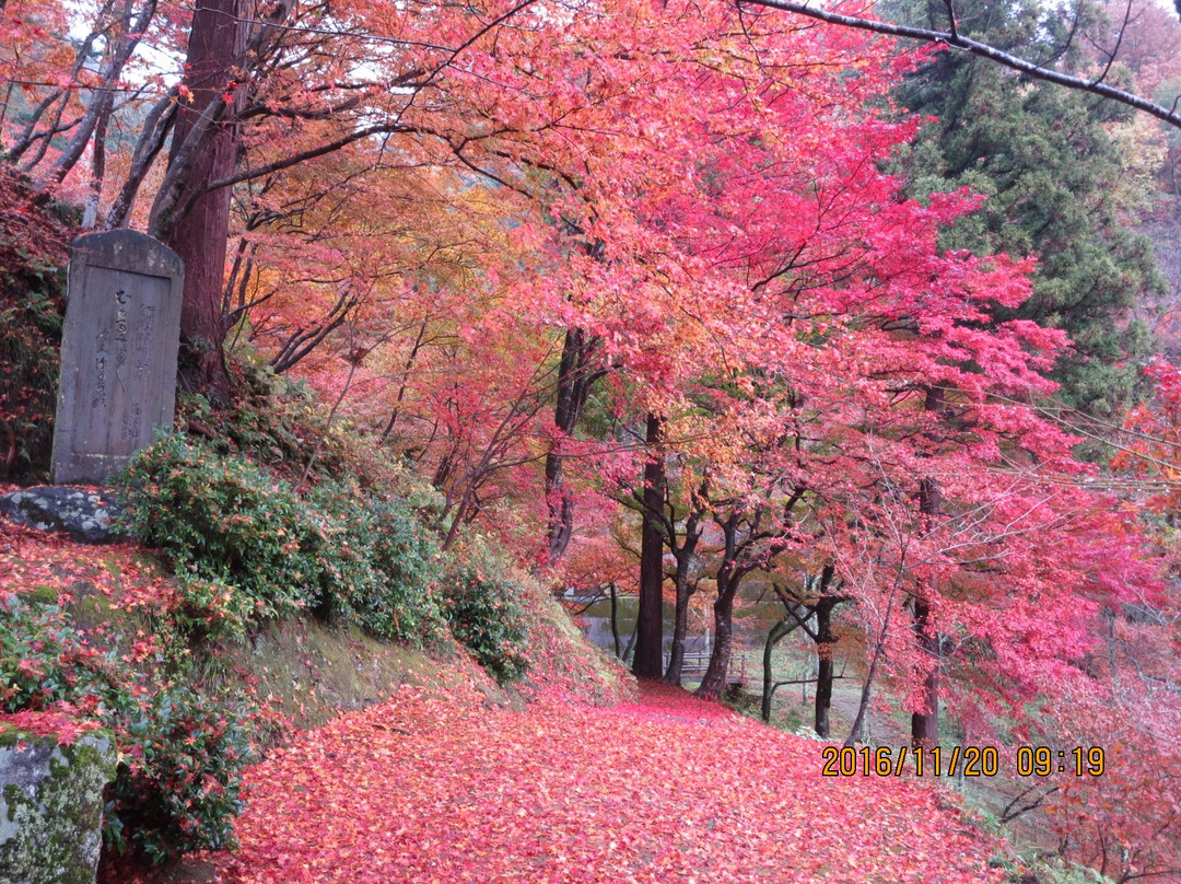 Kakyo Park-越前市必去景点