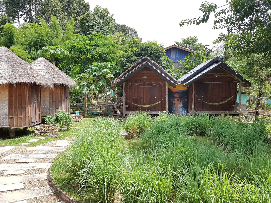 Easy Go Backpackers
