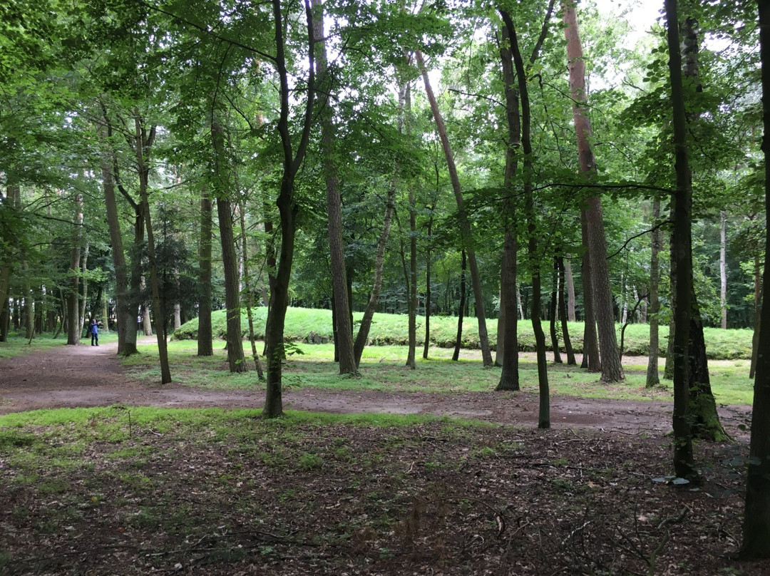Megaliths Kujawskie Cultural Park in Wietrzychowice景点图片