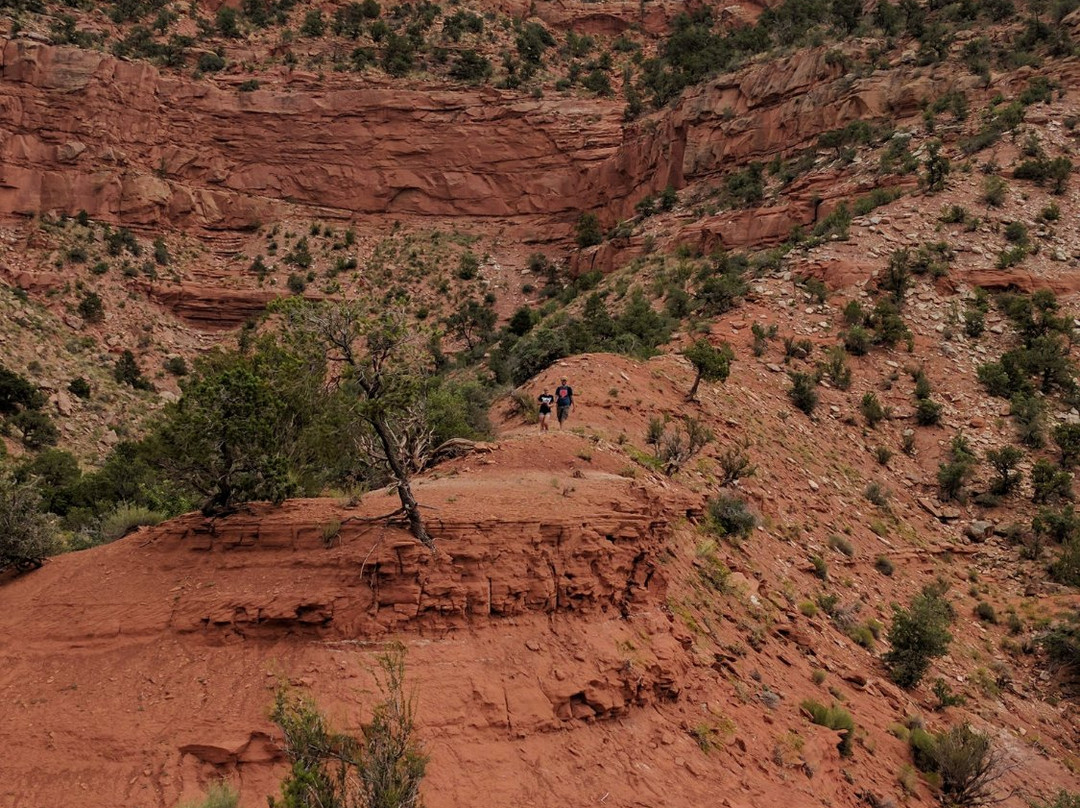 Tom’s Canyon Trail-卡纳布必去景点