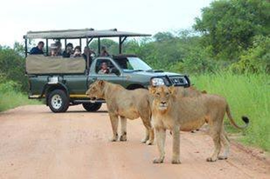 Discover Tours-白河必去景点