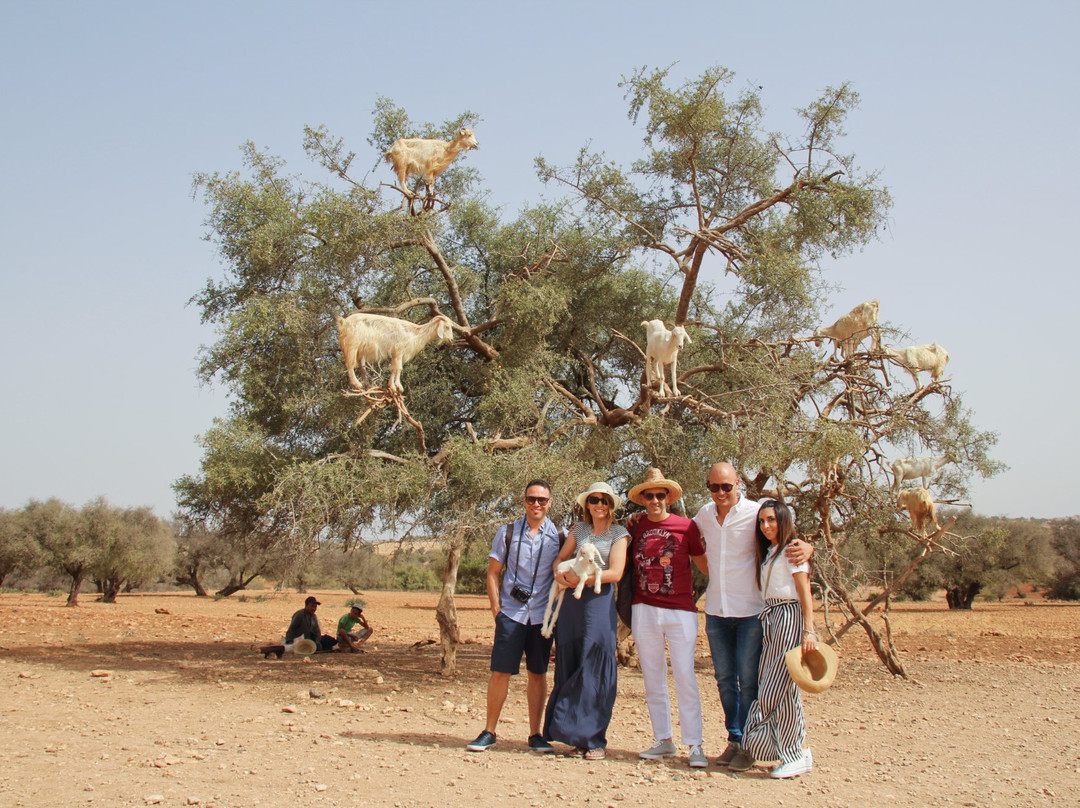 4 Marrakech Private Tours-马拉喀什必去景点