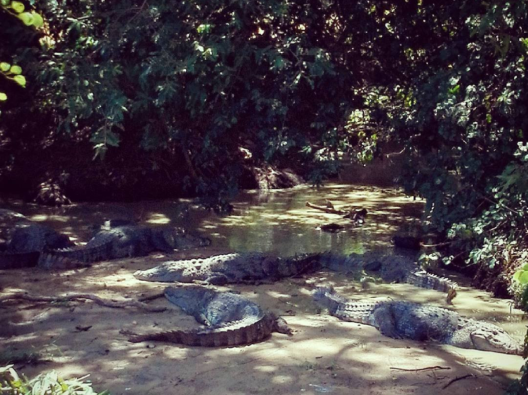 Safari Panama Sri Lanka-Panama必去景点