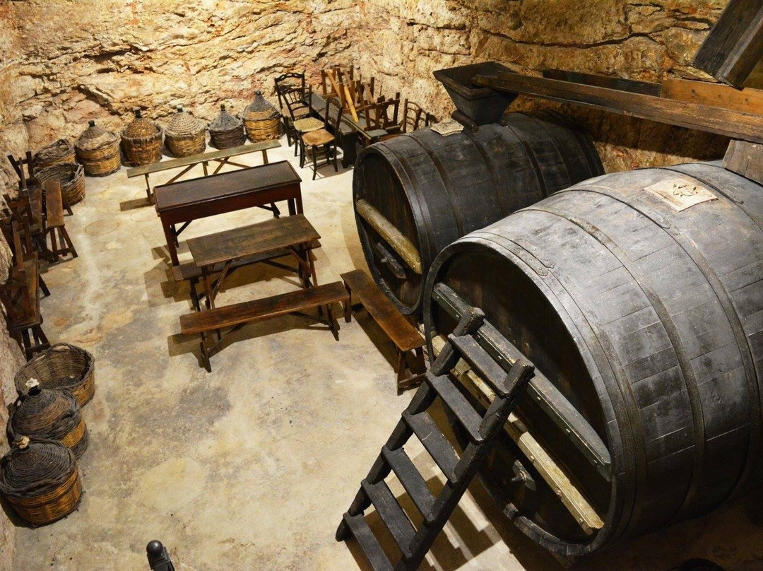 La Cantina Frrud - Museo del Vino-阿尔塔穆拉必去景点