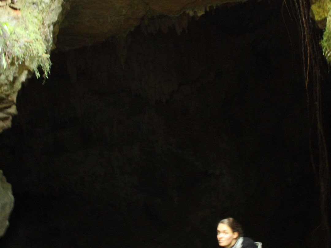 Piripiri Cave Walk-怀托摩洞穴必去景点