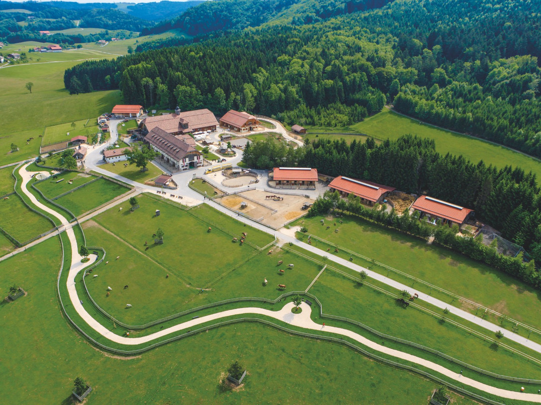 Henndorf am Wallersee旅游景点-Gut Aiderbichl Henndorf