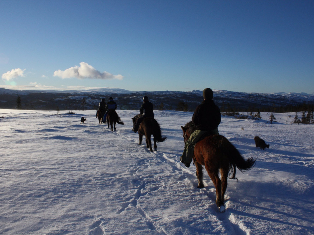 Meraakerfjell Ridesenter景点图片