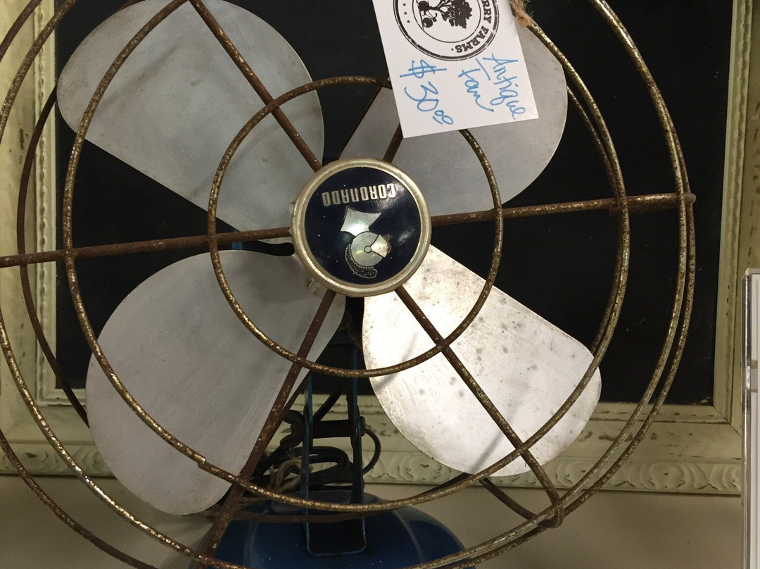 Treasure Mart Antique Mall-科科莫必去景点