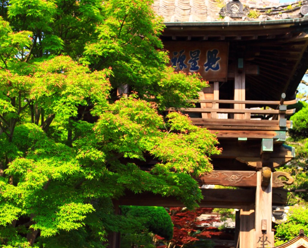 Kenshozenji Temple景点图片