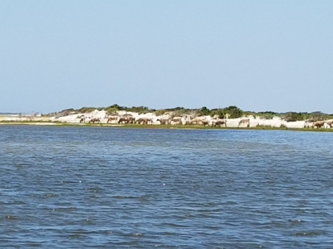 Cedar Island National Wildlife Refuge景点图片