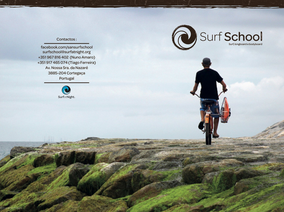 Surf at Night - Surf School景点图片