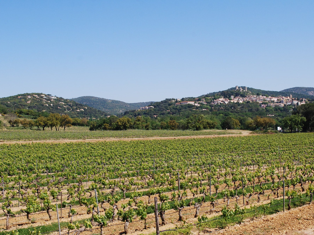 Château Saint-Maur Cru Classé-Cogolin必去景点