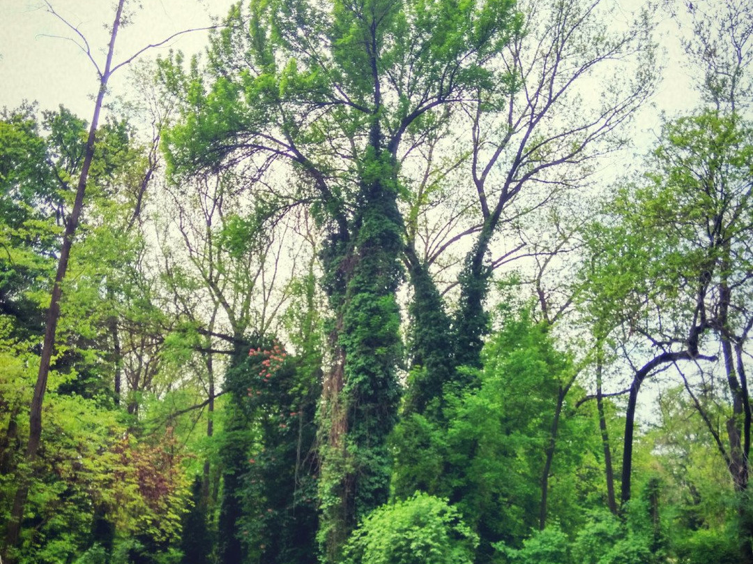Botanical Gardens-塔什干必去景点