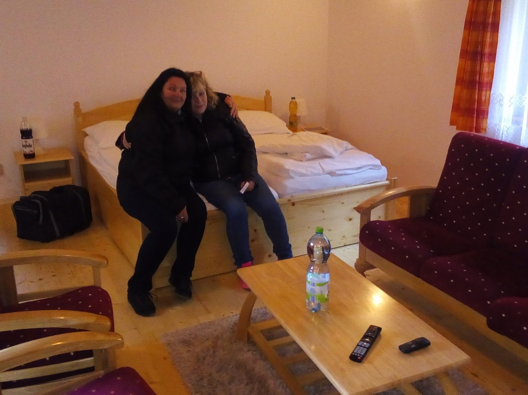 Horsky Hotel Excelsior主图