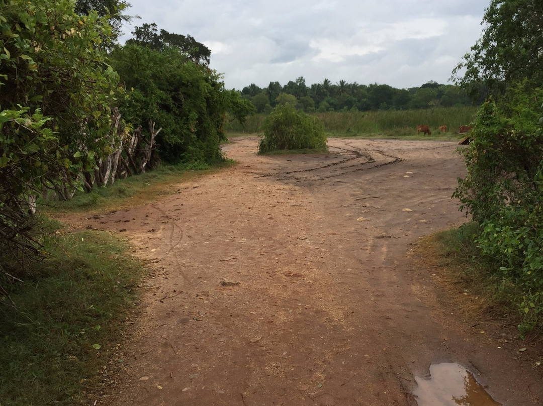 Ranminithenna Tele Cinema Village-蒂瑟默哈拉默必去景点