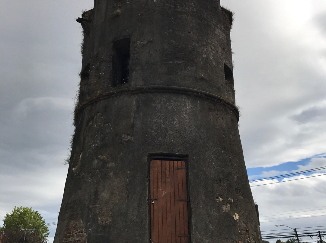 Torreon del Barro-瓦尔迪维亚必去景点