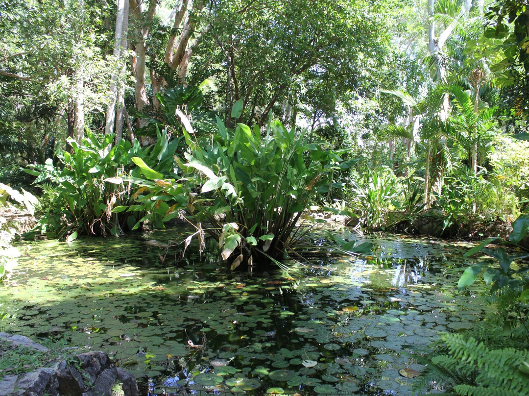 Cooktown Botanical Gardens景点图片