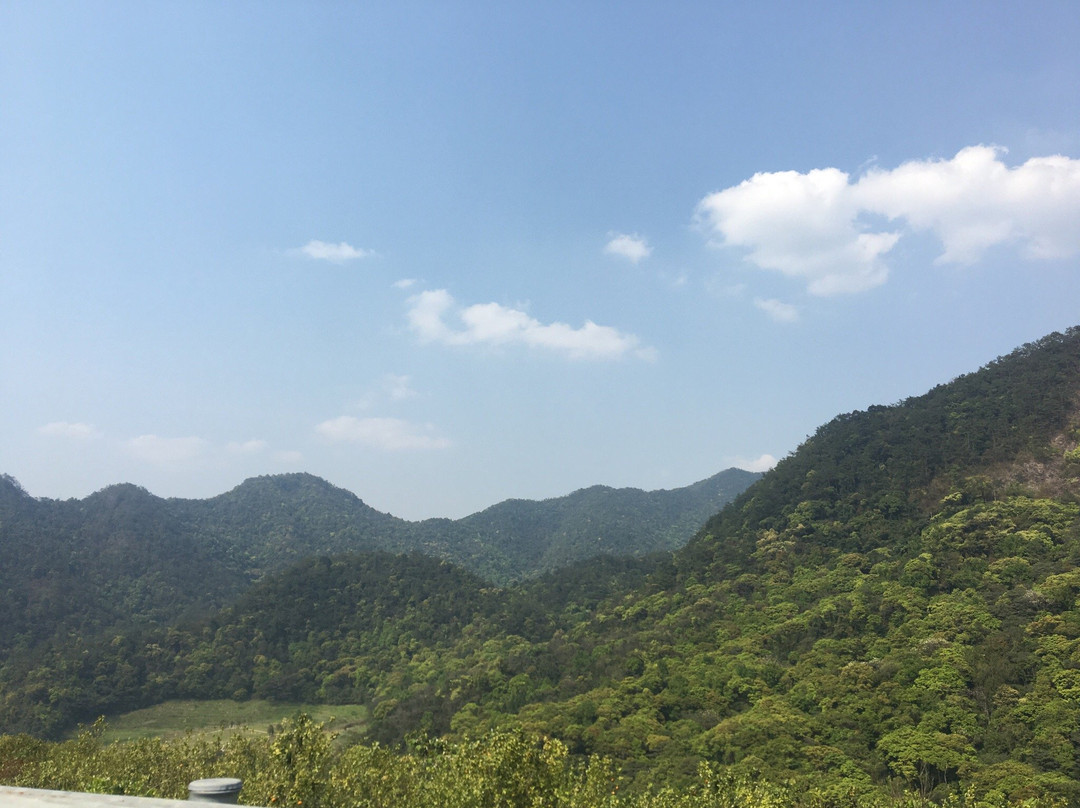 石门森林公园-从化市必去景点