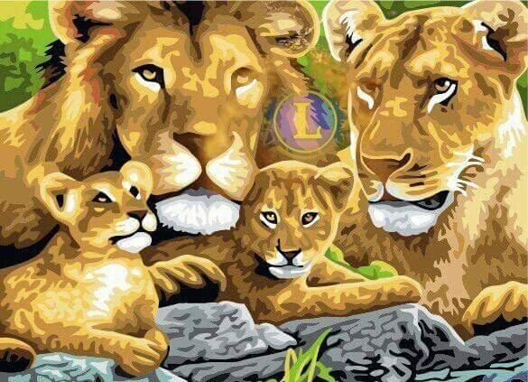 Musee Schoelcher-Pointe-a-Pitre必去景点