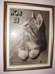 Katzinett - Katzenmuseum Ludwigshafen - Cat Museum景点图片