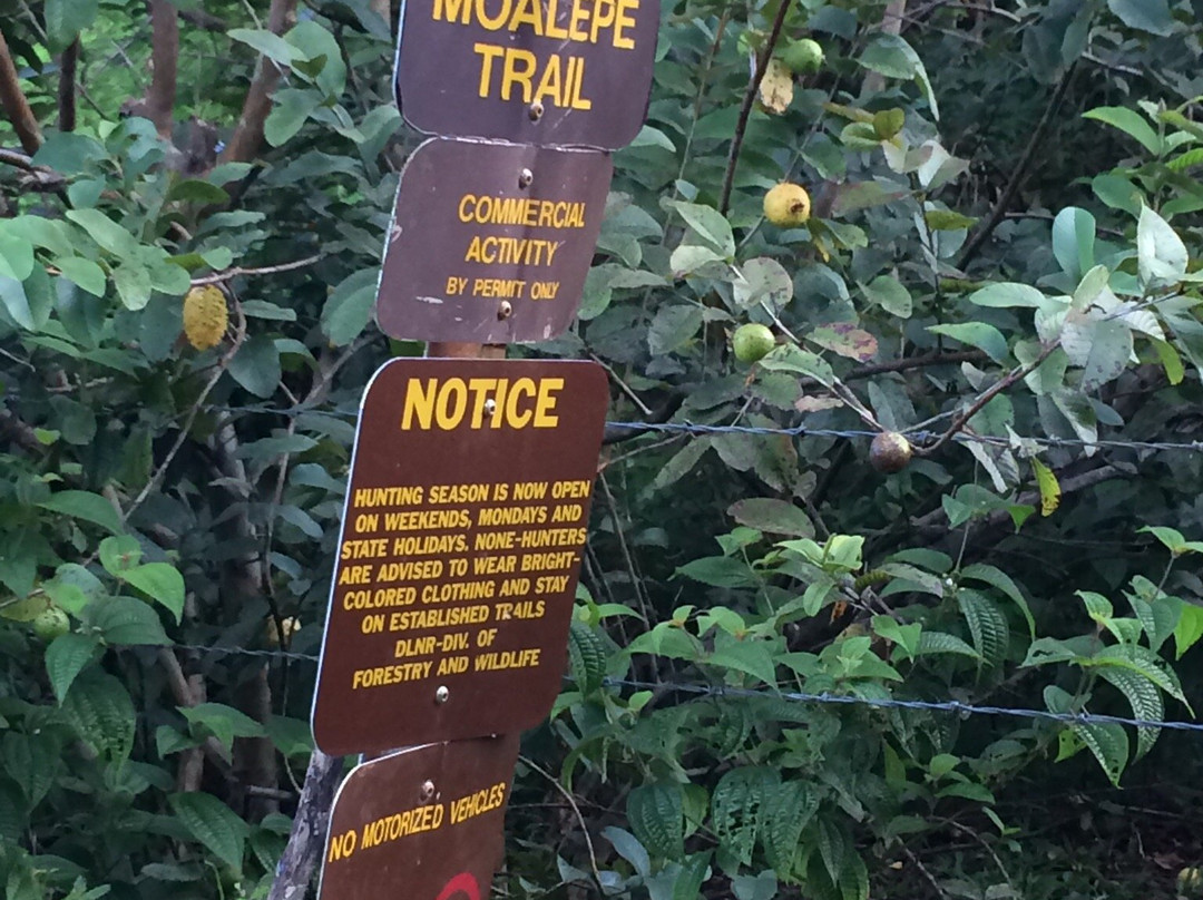 Moalepe Trail-卡帕阿必去景点