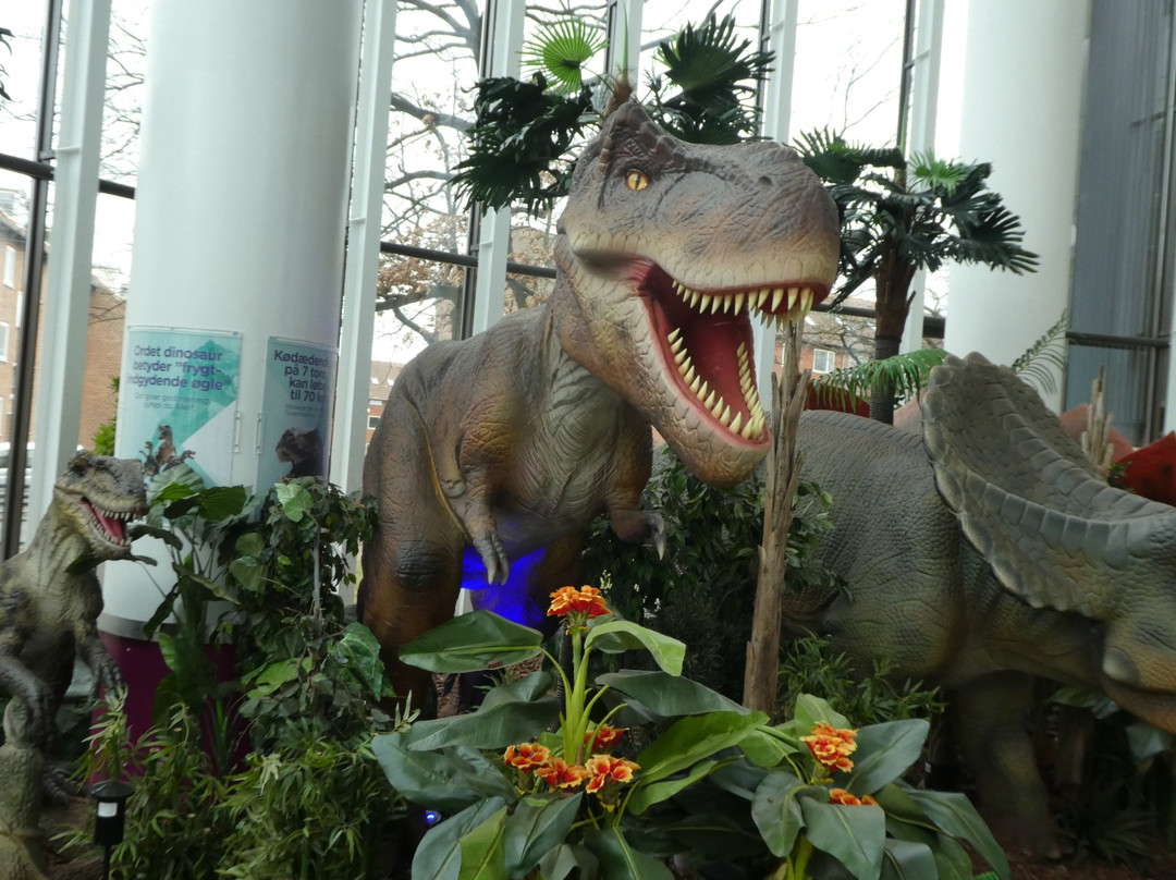 Storcenter Nord-欧胡斯必去景点