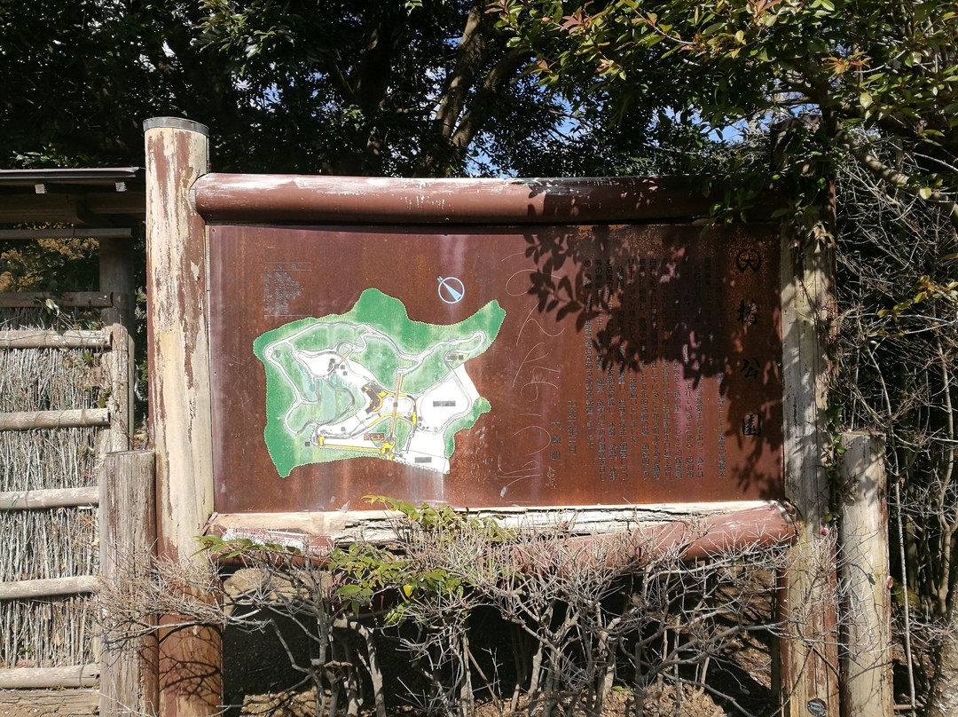 Tsubaki Park-夷隅市必去景点