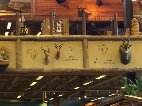 The Rim-圣安东尼奥市必去景点