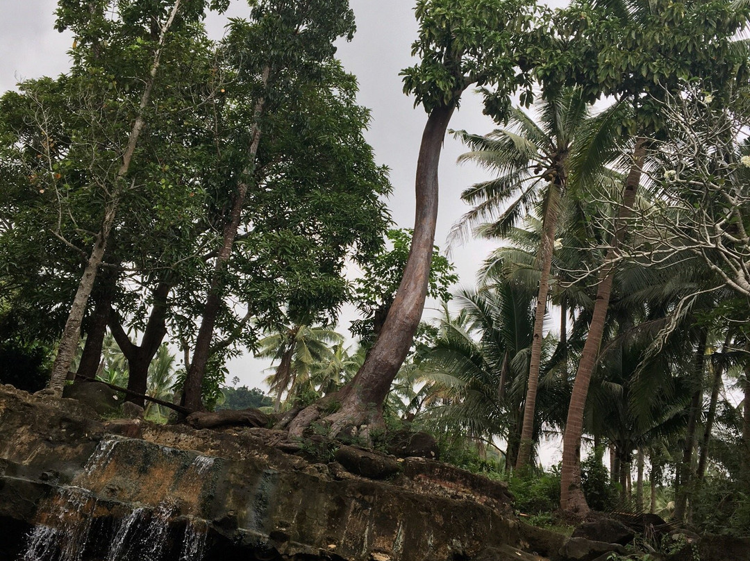 Mainit Hot Spring-比利兰岛必去景点