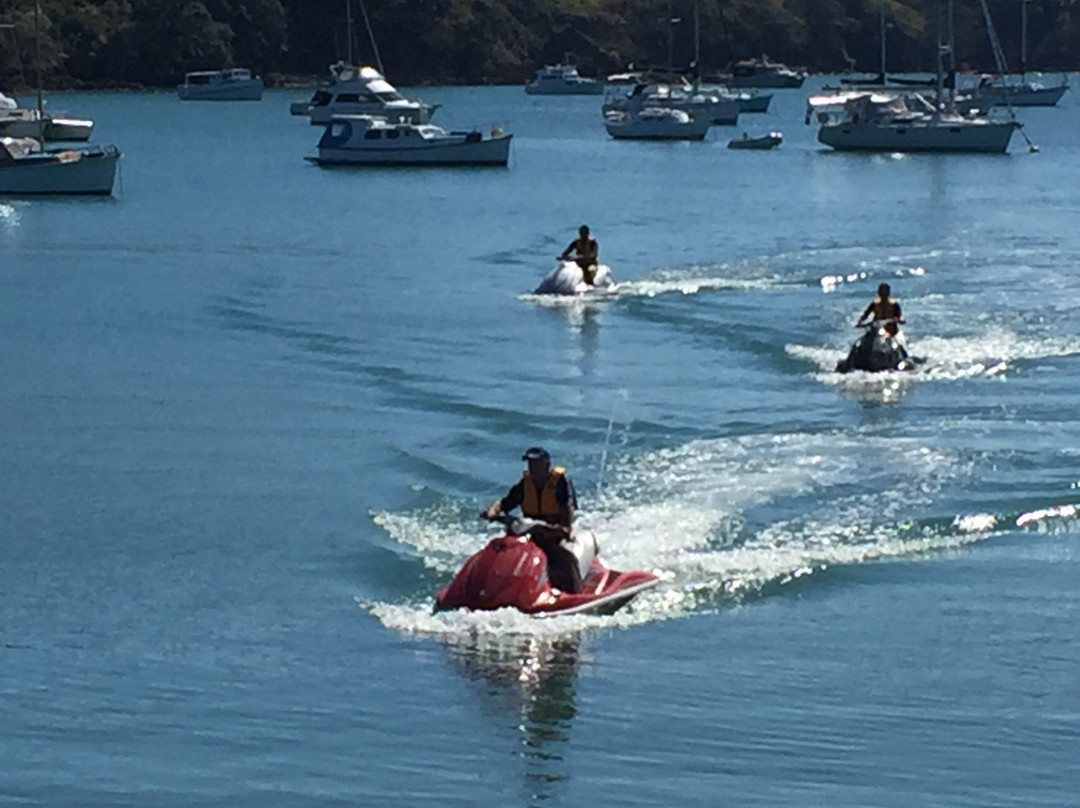 Waiheke Island Jet Ski Tours景点图片