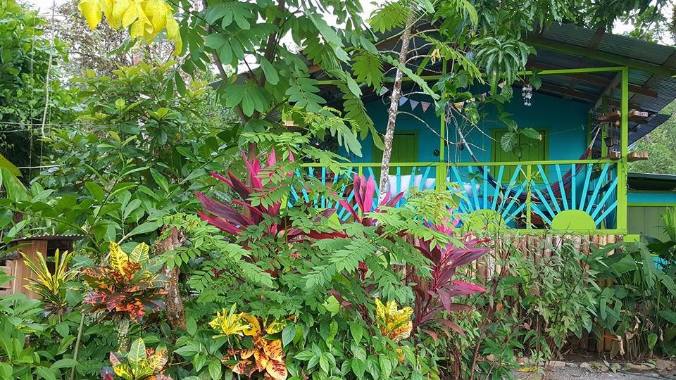 Centro Ashe - Medicinal Plant Education Center景点图片