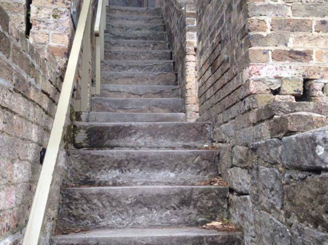 Foundation Park-悉尼必去景点