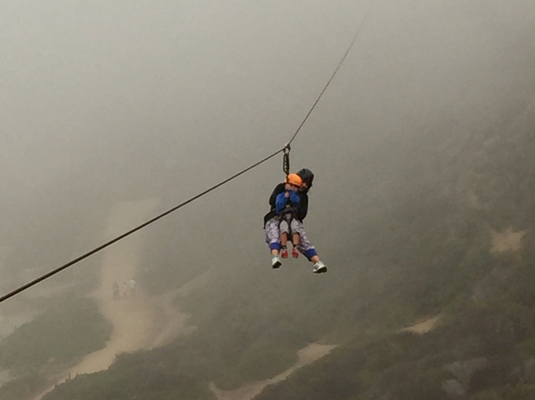 Canopy El Canelo景点图片