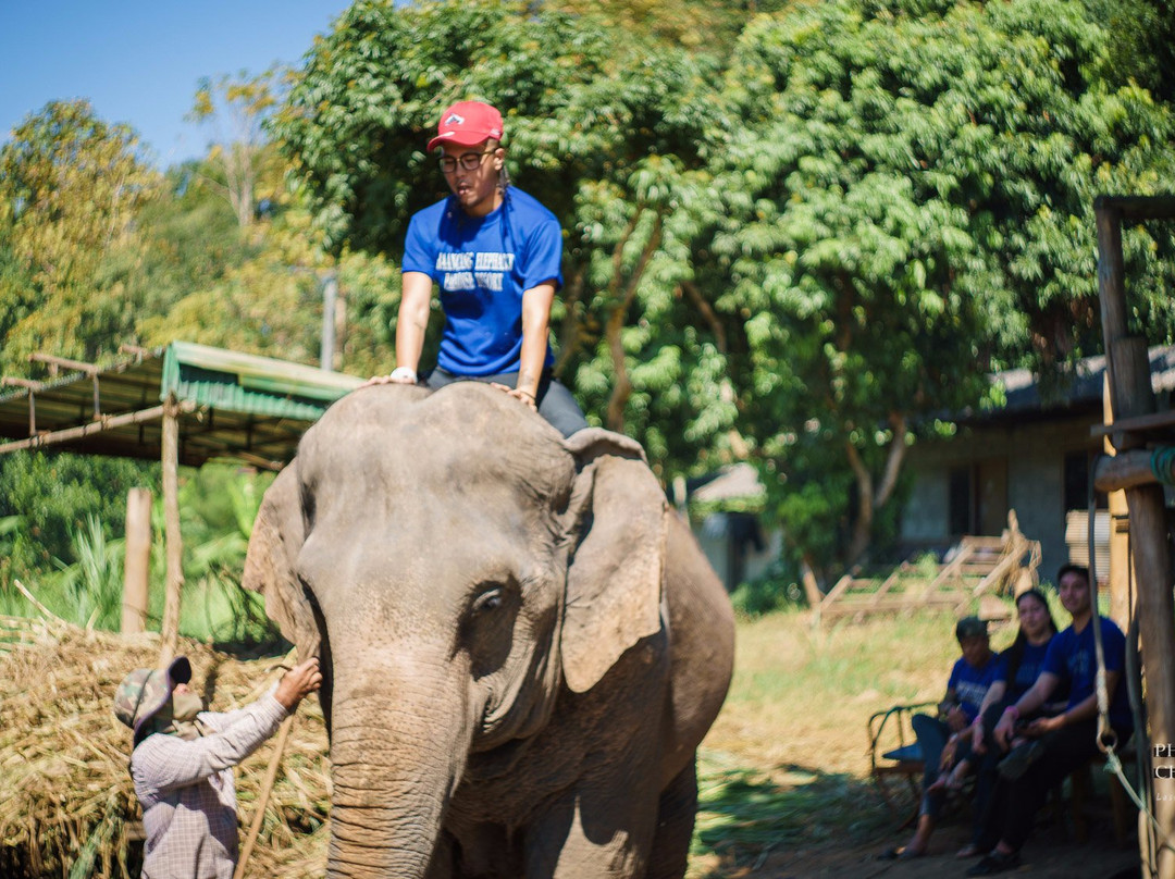 Baanchang Elephant's Paradise-夜登必去景点
