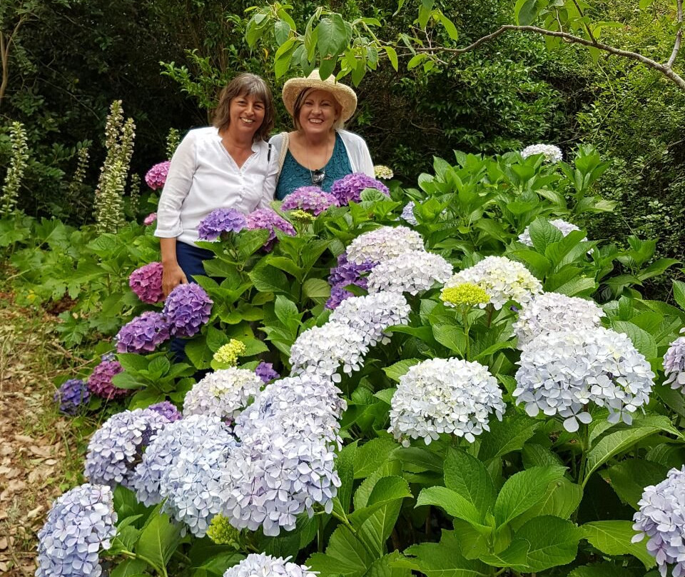 Iona Wines-Elgin必去景点