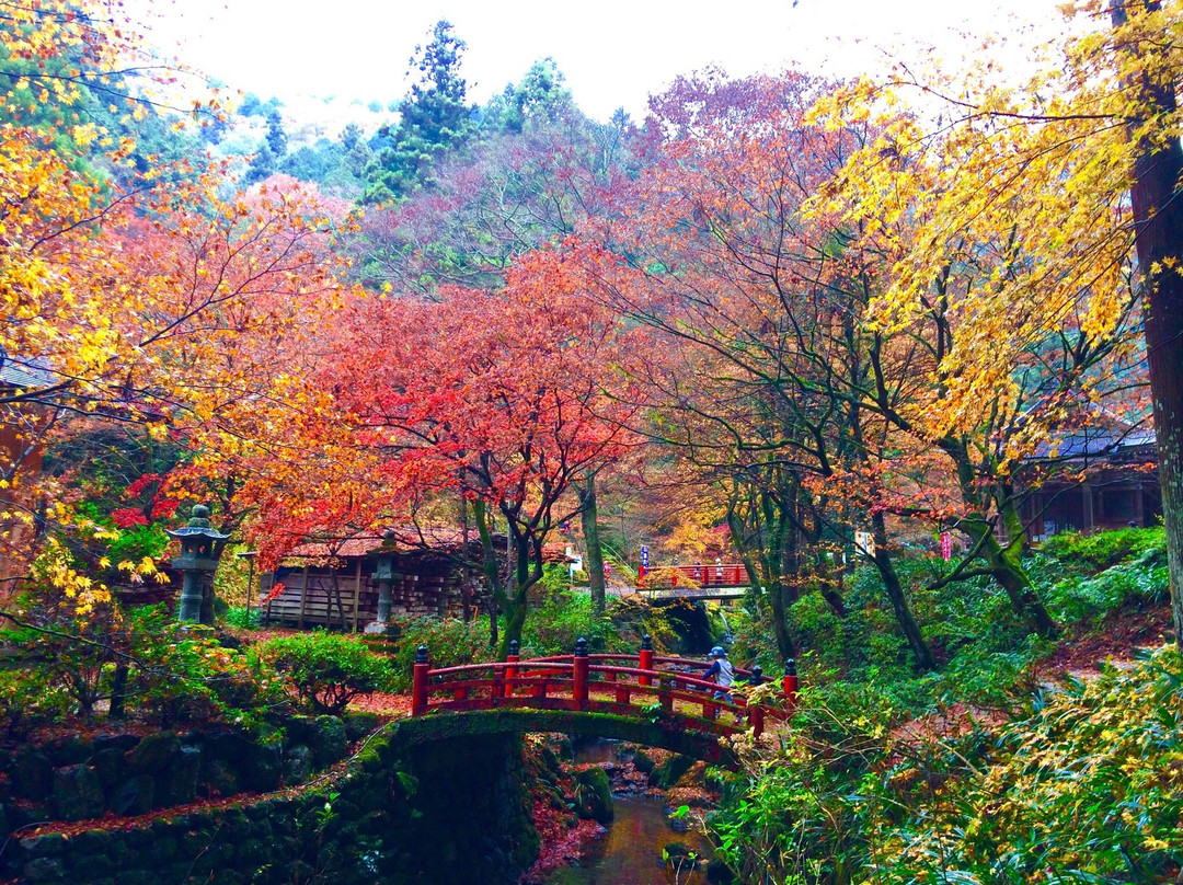 Yokokuraji Temple-揖斐川町必去景点