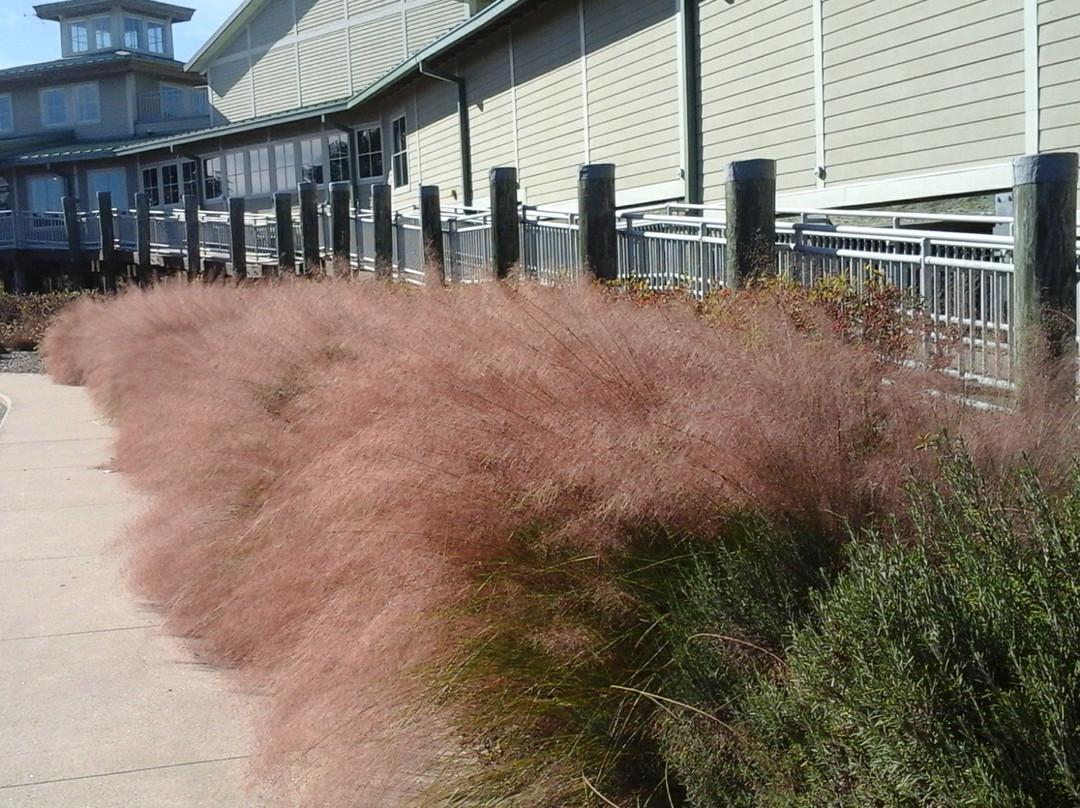 Outer Banks Center For Wildlife Education-卡罗拉必去景点