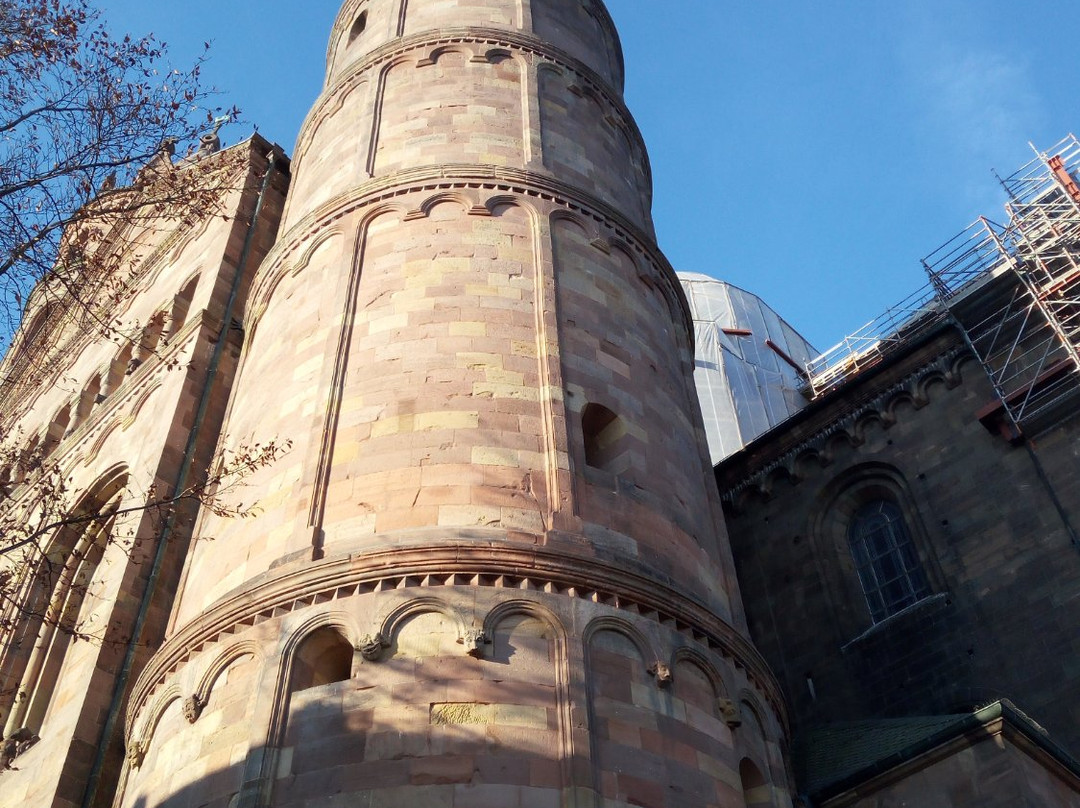Museum der Stadt Worms景点图片