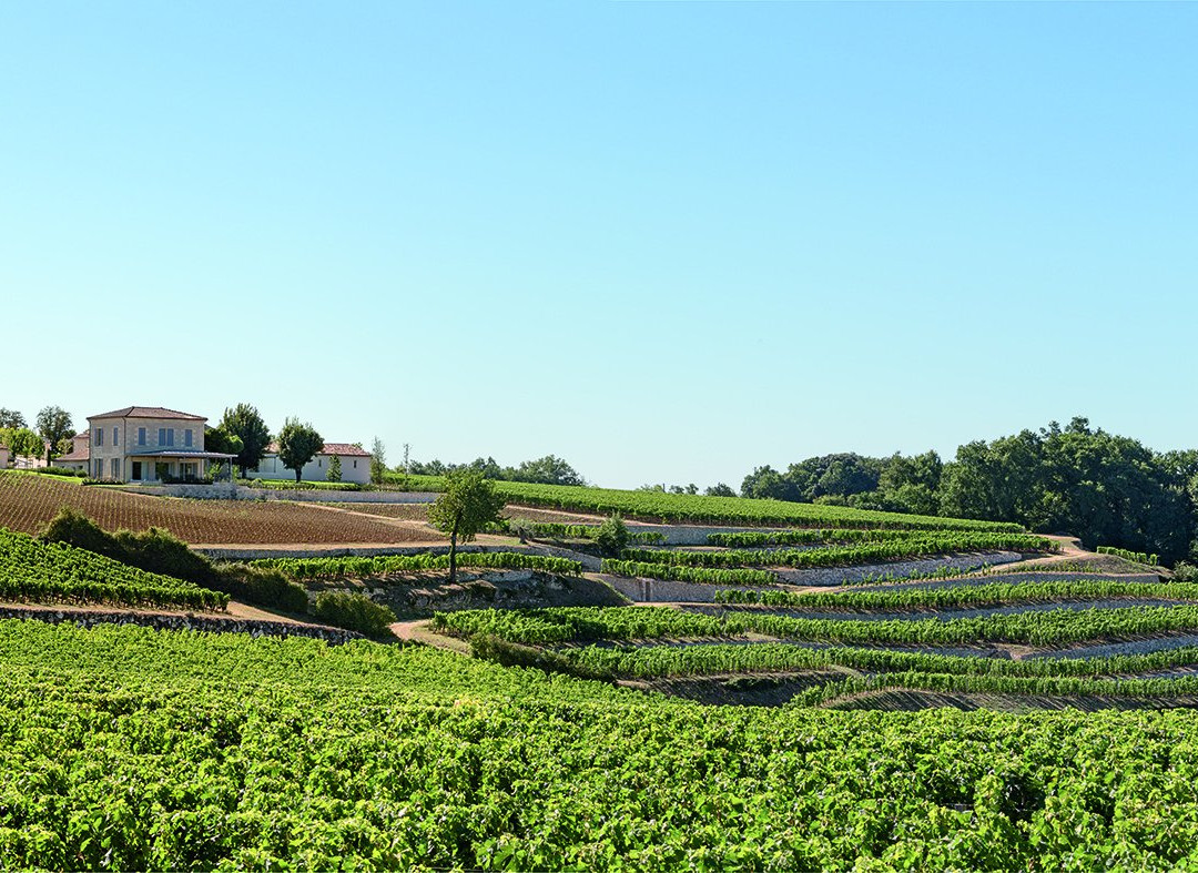 Château Tour Saint Christophe景点图片