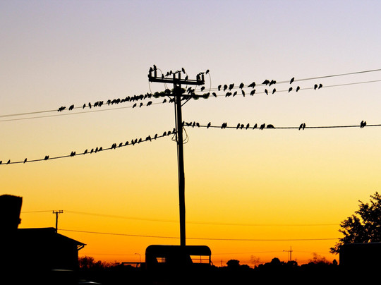 Matilda Highway-Cunnamulla必去景点