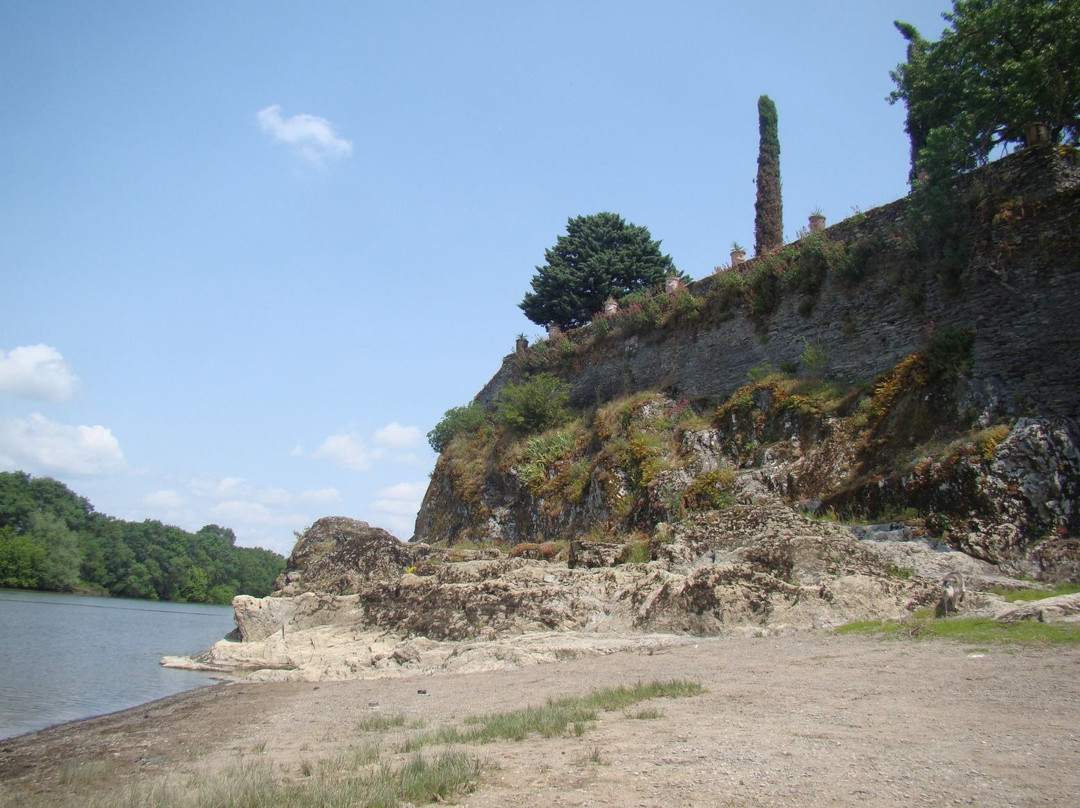 Bouchemaine旅游攻略图片