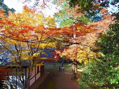 Kougenji Temple-丹波市必去景点