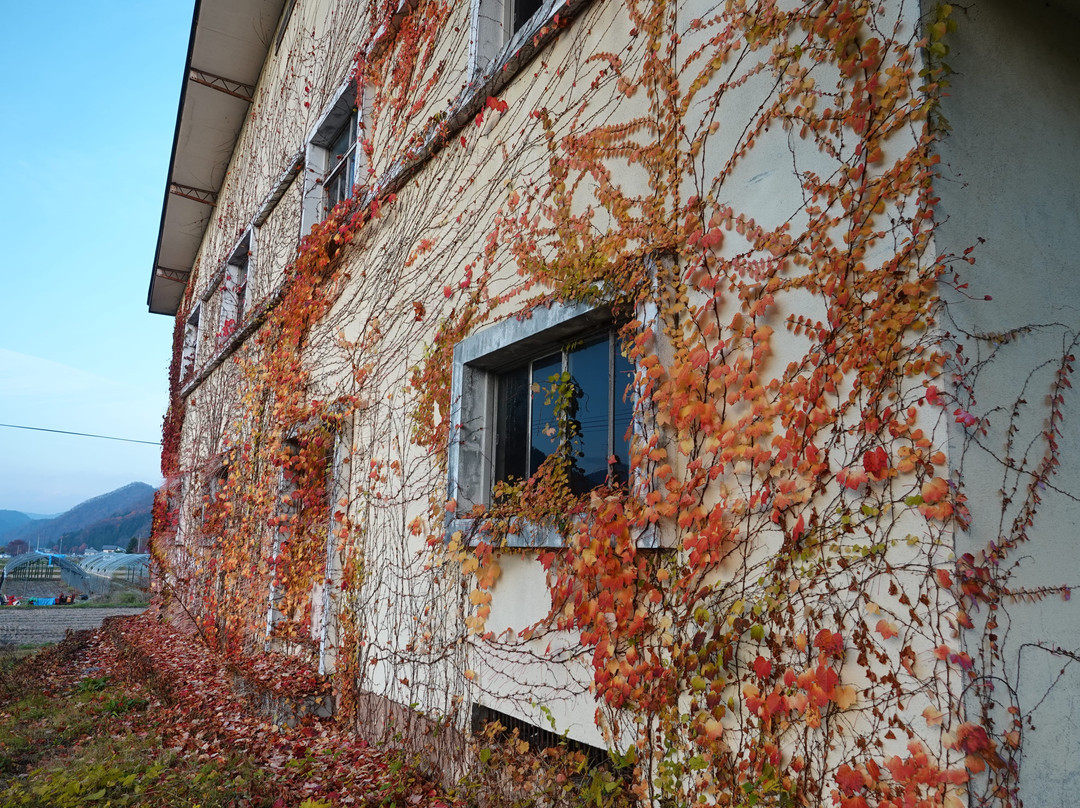 Furumachi no Oicho-南会津町必去景点