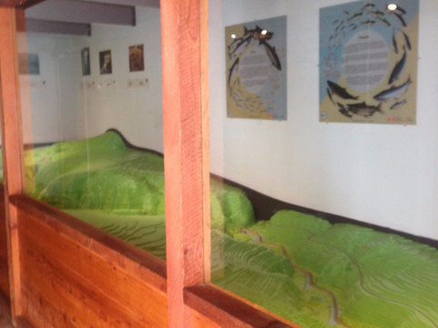 Little Qualicum River Fish Hatchery-魁利克姆海滩必去景点