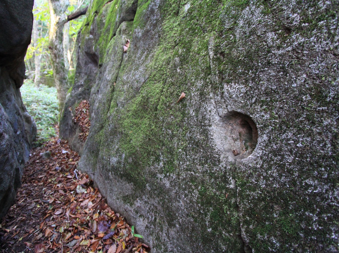 Petroglyph at Mt. Kasagiyama-惠那市必去景点