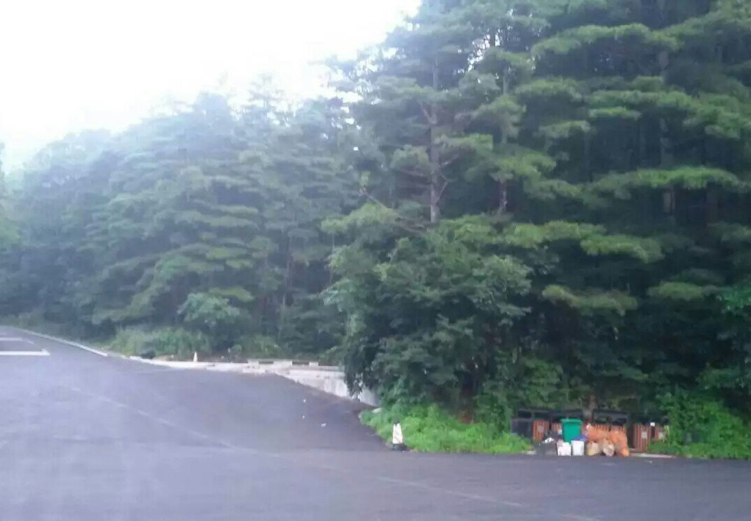 宝天曼保护区-内乡县必去景点