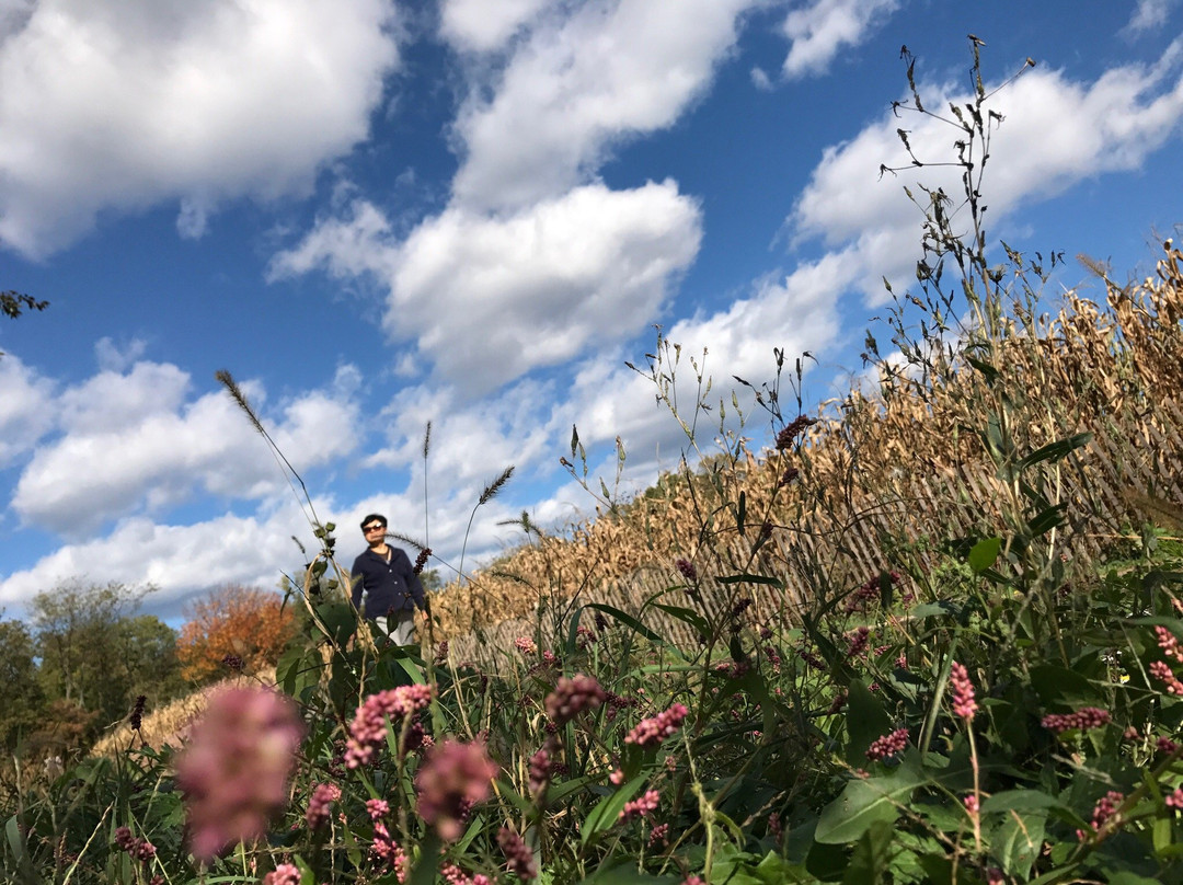 Queens County Farm Museum-Floral Park必去景点